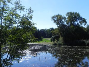 dscn7268
